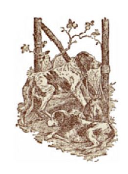 illustration
