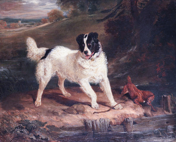 landseer newfoundland and terrier at a stream