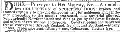 london times image