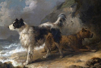 morland dogs on coast