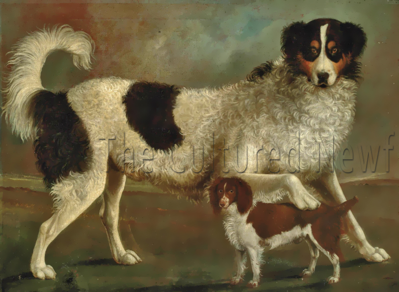 two spaniels in a landscape