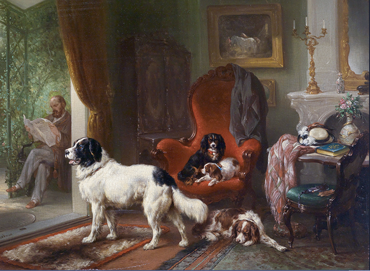 interior with dogs image