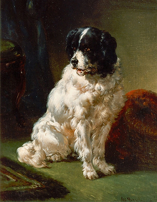 painters dog image